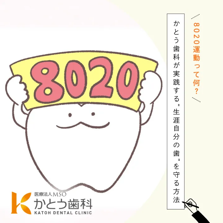 2025年10月3日_8020運動って何?かとう歯科が実践する“生涯自分の歯”を守る方法